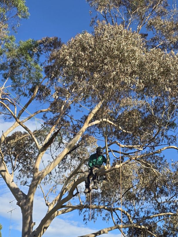 Steep block clearing